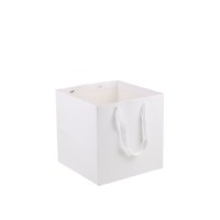 White_Paper_Bag_Cubic3