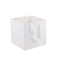 White_Paper_Bag_Cubic5
