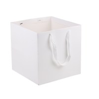 White_Paper_Bag_Cubic7